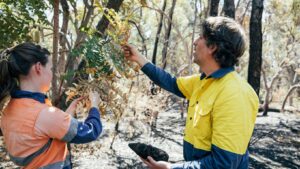 Nature Conservation Officer